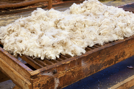 Close-up view of fresh sheared wool in a farm