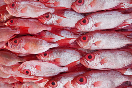 Group of Kapok fish, bigeye, in a seafood marketの写真素材