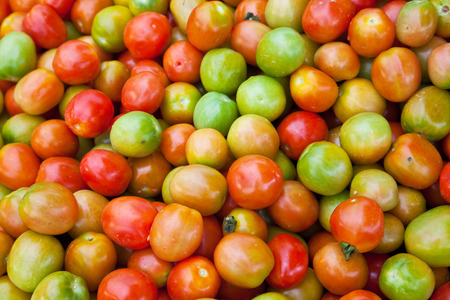 Colorful tomatoes for sale in a marketの写真素材