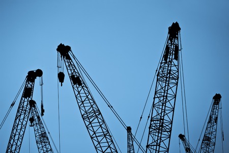 Silhouette of cranes against clear sky, blue tone