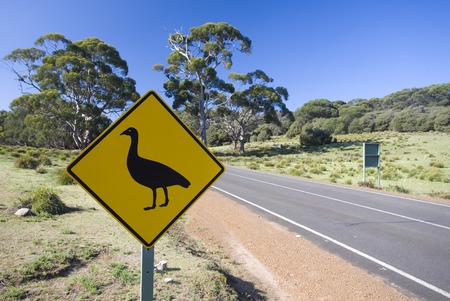 Cape Barren Goose road sign on Kangaroo Island, Australiaの写真素材