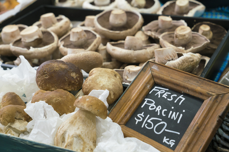 Porcini mushrooms on sale in a marketの写真素材