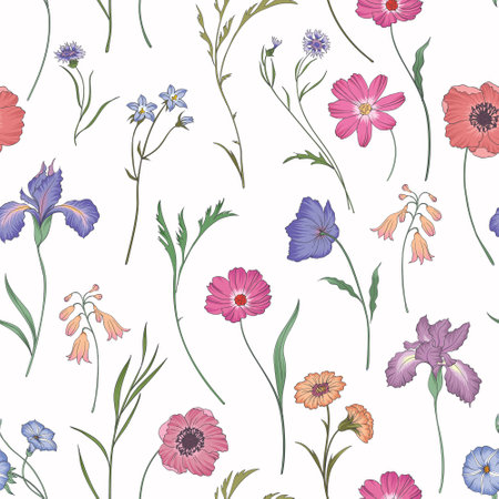 Seamless pattern with wildflowers on a white background.のイラスト素材