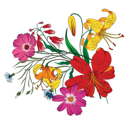 Floral bouquet with lilies and daisies. Vector illustration.のイラスト素材
