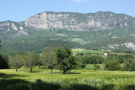Typical landscape of south of France, Drome, Rhone, Alps near Saouの写真素材