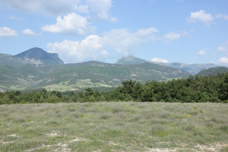 Typical landscape of south of France, Drome, Rhone, Alps near Saouの写真素材