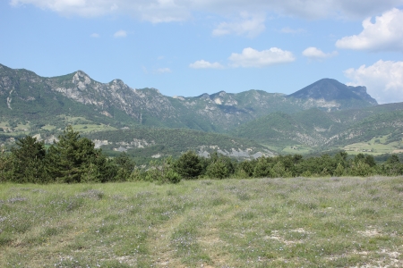Typical landscape of south of France, Drome, Rhone, Alps near Saouの写真素材