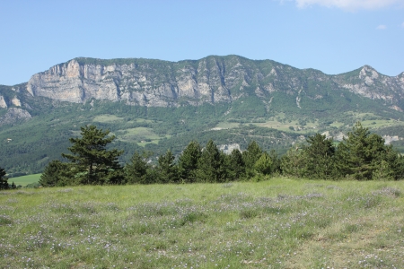 Typical landscape of south of France, Drome, Rhone, Alps near Saouの写真素材