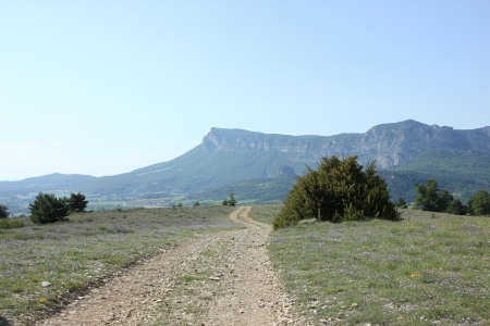 Typical landscape of south of France, Drome, Rhone, Alps near Saouの写真素材