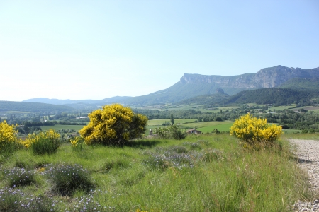 Typical landscape of south of France, Drome, Rhone, Alps near Saouの写真素材