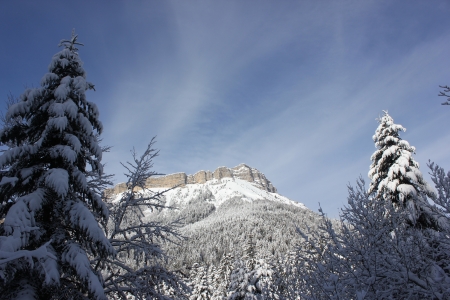 Beautiful winter scene in Chartreuse Massif, France, near cross country skiing center of Le Sappey en Chartreuse, snow over fir tree, blue sky.の写真素材
