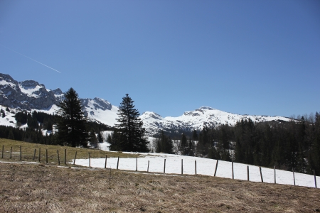 Plains, prairie of Roybon in Vercors massif uping to Col Vert above Villard de Lans, France, Isereの写真素材
