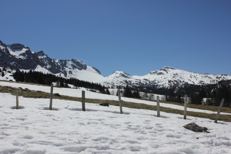 Plains, prairie of Roybon in Vercors massif uping to Col Vert above Villard de Lans, France, Isereの写真素材
