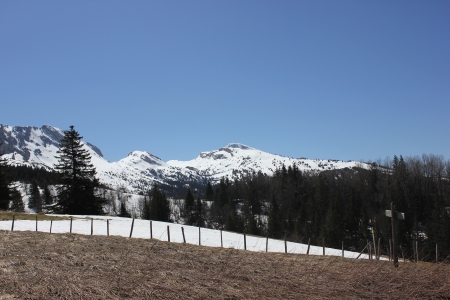 Plains, prairie of Roybon in Vercors massif uping to Col Vert above Villard de Lans, France, Isereの写真素材