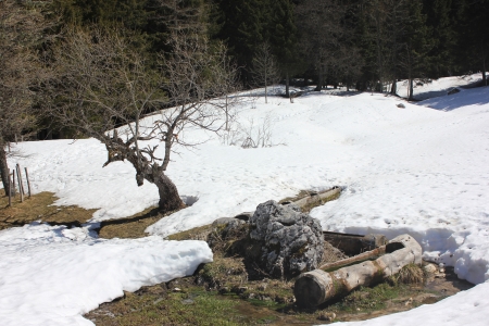 Plains, prairie of Roybon in Vercors massif uping to Col Vert above Villard de Lans, France, Isereの写真素材