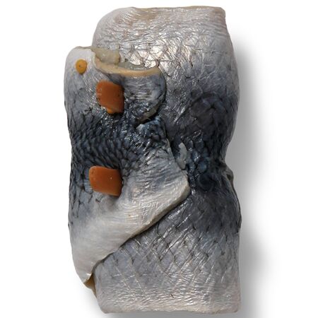rollmops, Beautiful Food , High Qualityの写真素材