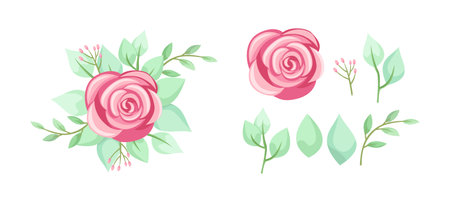 Set of rose flower bouquet and leaves with pale pink color. Leaf and flower greenery collection for wedding or engagement invitation and greeting card designのイラスト素材