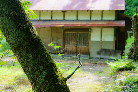 Old abandoned house in the forest.の写真素材