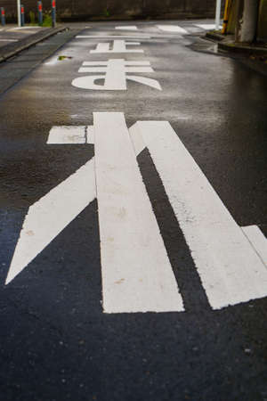 White arrow sign on the asphalt of a pedestrian crossing in the cityの写真素材