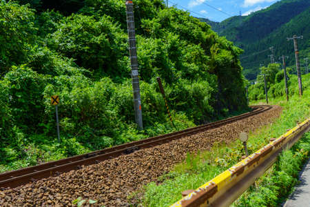 Railway tracks through the green forest on a sunny summer day.の写真素材