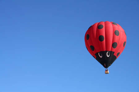 Ladybug Hot Air Balloon with Blue Skyの写真素材
