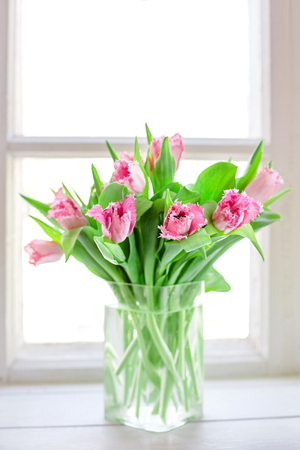 Pink tulips in a glass vaseの写真素材