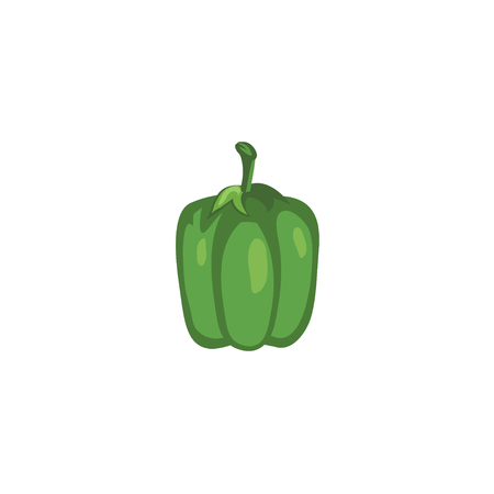 Vector Vegetables - Green Bell Pepperのイラスト素材