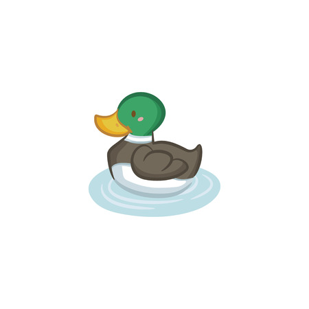 Mallard Duckのイラスト素材