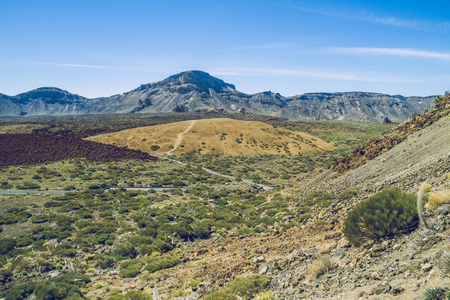 Beautiful morning in Tenerife.の写真素材
