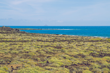 Beautiful evening in canary islands.の写真素材
