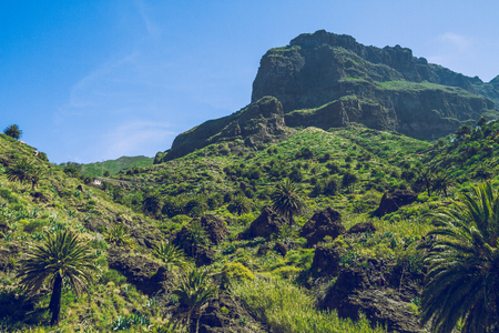 Beautiful morning in Tenerife.の写真素材