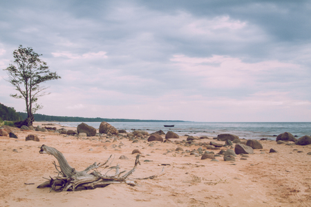 Sunset evening on the baltic sea.の写真素材