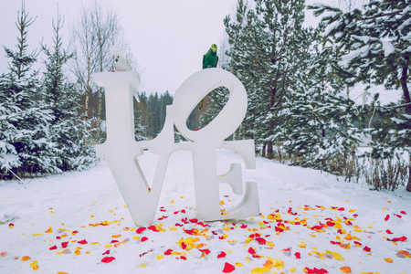 Weddings in winter time. 2016の写真素材