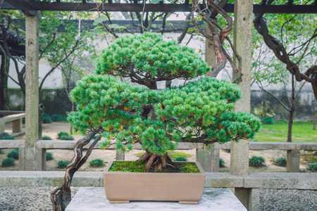 Hangzhou, China, 2016, Street view. City, streets, lake and nature. It's a travel photo, when I walk around city.のeditorial素材