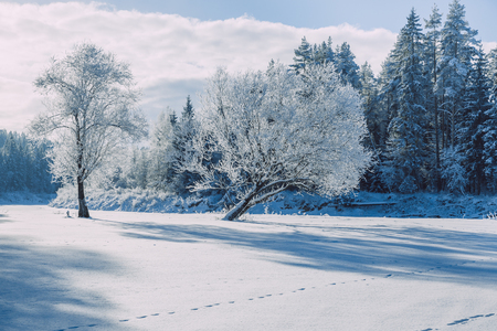 Ungurs, Latvia, 2016, Nature, sun, trees and beautiful view. It's a travel photo, when I walk around city.の写真素材