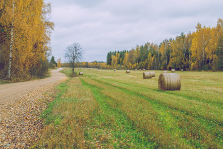 Meadow at autumn in Latvia. 2015の写真素材