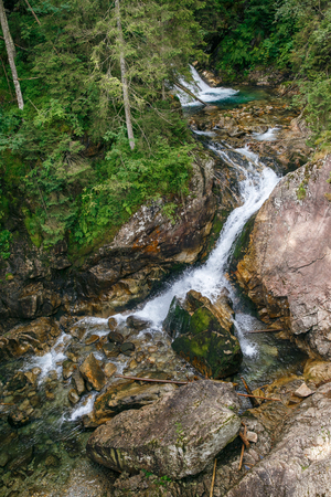 Big Tatry at Poland and Slovakia. Wild animals, beutiful nature, lakes and rivers. 2017の写真素材