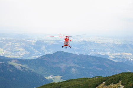 Big Tatry at Poland and Slovakia. Wild animals, beutiful nature, lakes and rivers. 2017の写真素材