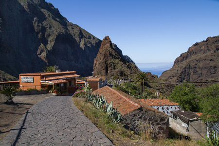 Spain, City Tenerife, Nature and beautiful sunshine. Travel photo. 2015のeditorial素材