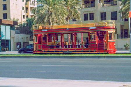 Dubai, United arab emirates, Tarm, street and nature. Travel photo. 2015 Way and palms.のeditorial素材