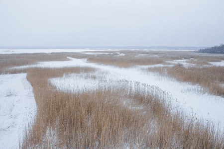 Bird watching tower in lake Kanieris. Snow and ice, nature photo. Travel photo at Latvia. 2018の写真素材