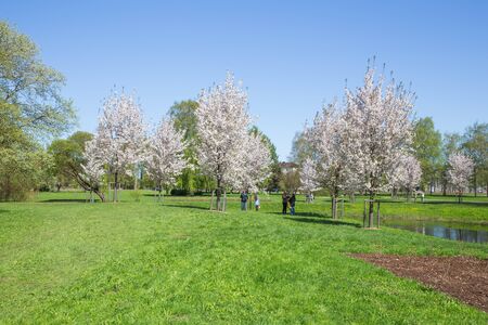 City Riga, Latvia. Victory park at capital, 2018. Nature, peoples, trees and beautiful view. It's a travel photo.のeditorial素材