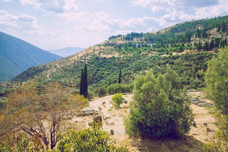 City Delphi. Greek Republic. Fields and mountains, grass and trees. In the distance mountains and...