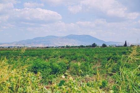 Greek Republic. Fields and mountains, grass and trees. In the distance mountains and sky. 13. Sep. 2019. Travel photo.の写真素材
