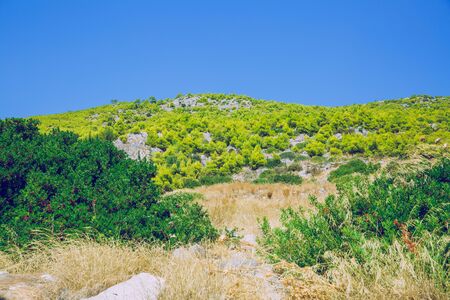 Greek Republic. Fields and mountains, grass and trees. In the distance mountains and sky. 13. Sep. 2019. Travel photo.の写真素材