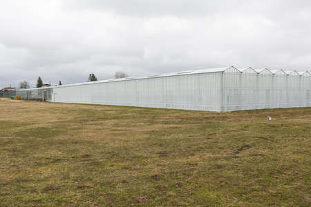 City Cesis, Latvia. Greenhouse and meadow. Travel photo.02.04.2020のeditorial素材