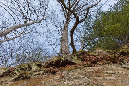 City Sigulda, Latvia. Historic sand cliffs and trees. Travel photo.の写真素材