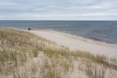 City Carnikava, Latvia. Walking place by the Baltic Sea with sand and trees.03.06.2020の写真素材
