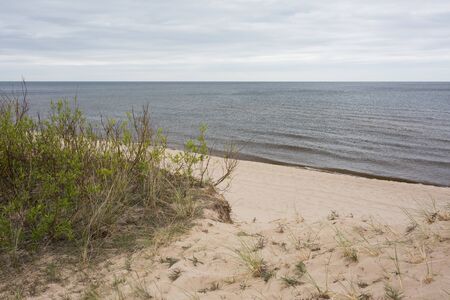 City Carnikava, Latvia. Walking place by the Baltic Sea with sand and trees.03.06.2020の写真素材
