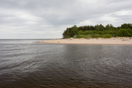 City Carnikava, Latvia. Walking place by the Baltic Sea with sand and trees.03.06.2020の写真素材